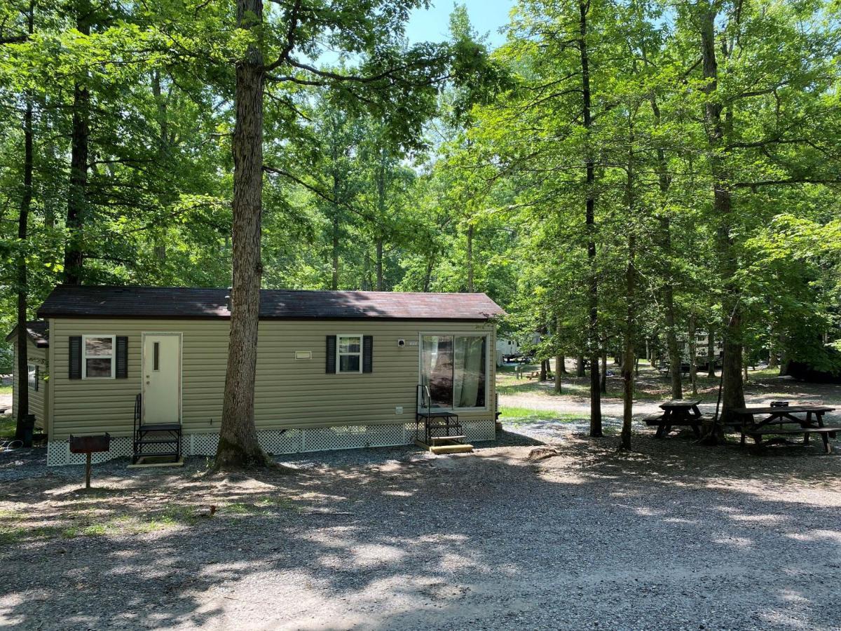 The Vintage Rv'S At Wilderness Presidential Camp Resort By Tripforth Spotsylvania Luaran gambar